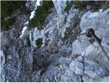 Jakobe - Feistritzer Spitze